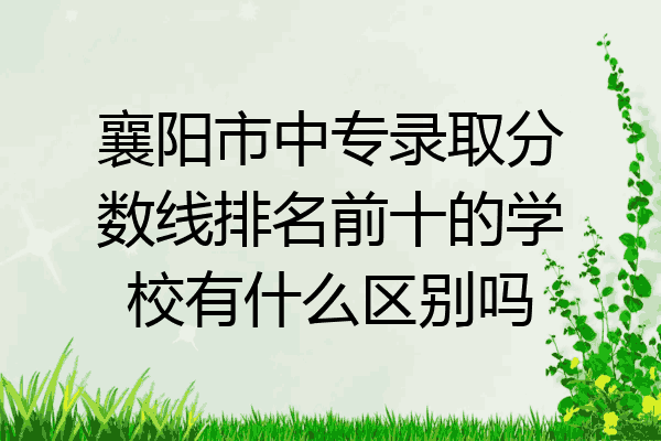 襄阳市中专录取分数线排名前十的学校有什么区别吗
