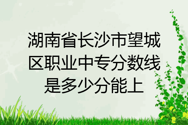 湖南省长沙市望城区职业中专分数线是多少分能上