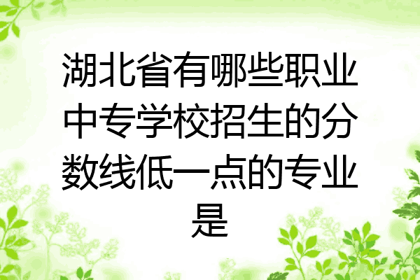 湖北省有哪些职业中专学校招生的分数线低一点的专业是