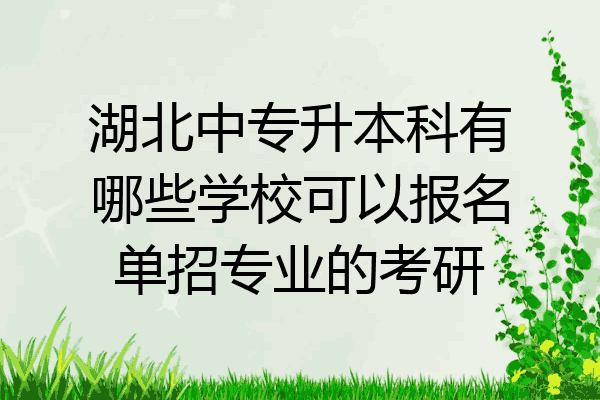 湖北中专升本科有哪些学校可以报名单招专业的考研