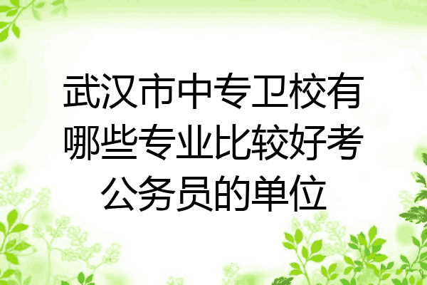 武汉市中专卫校有哪些专业比较好考公务员的单位