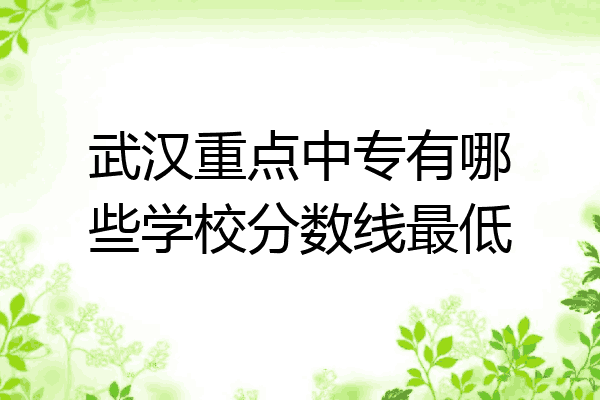 武汉重点中专有哪些学校分数线最低