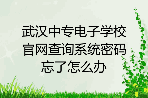 武汉中专电子学校官网查询系统密码忘了怎么办