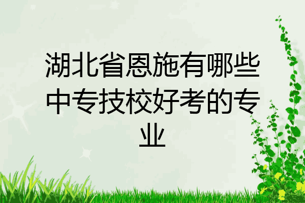 湖北省恩施有哪些中专技校好考的专业