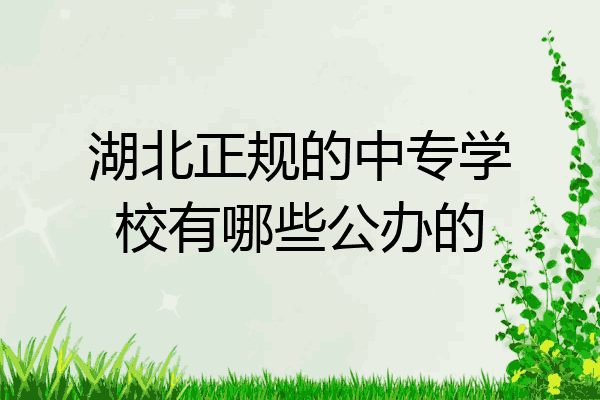 湖北正规的中专学校有哪些公办的