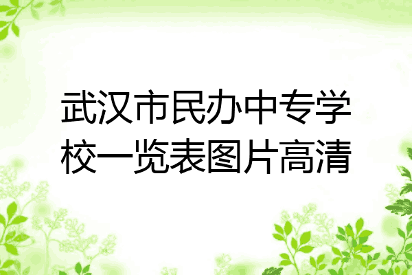 武汉市民办中专学校一览表图片高清