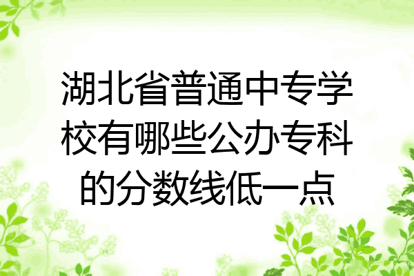 湖北省普通中专学校有哪些公办专科的分数线低一点