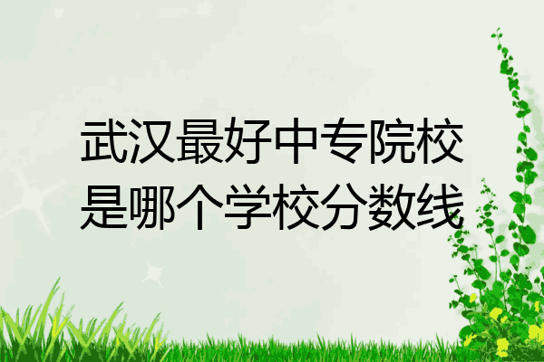 武汉最好中专院校是哪个学校分数线