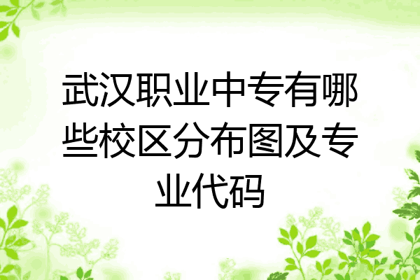 武汉职业中专有哪些校区分布图及专业代码
