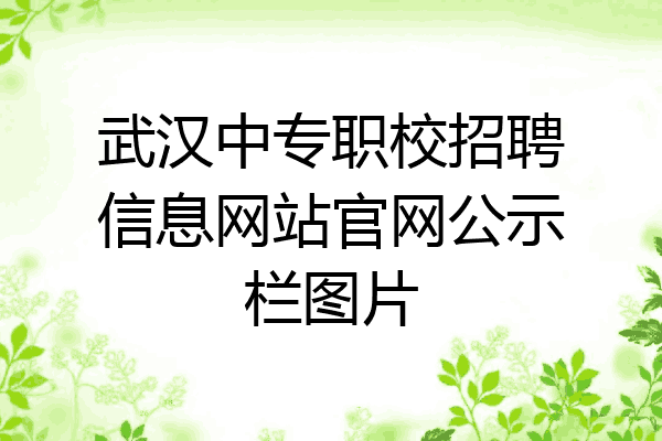 武汉中专职校招聘信息网站官网公示栏图片