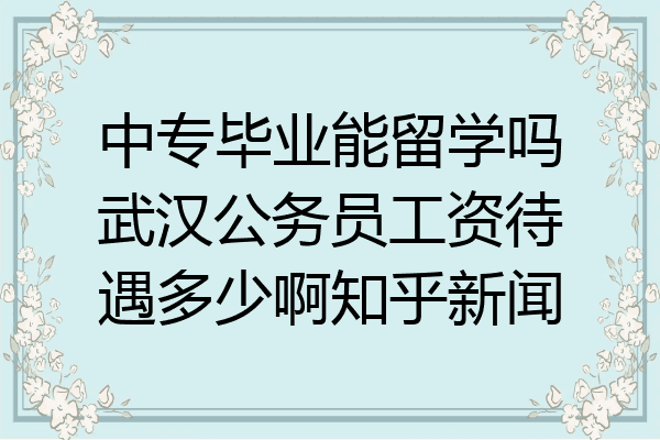 中专毕业能留学吗武汉公务员工资待遇多少啊知乎新闻