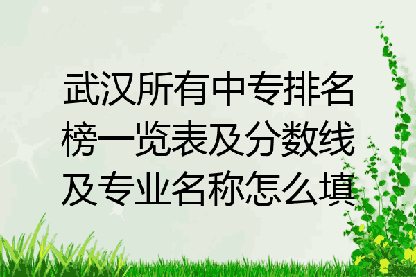 武汉所有中专排名榜一览表及分数线及专业名称怎么填