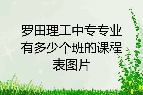 罗田理工中专专业有多少个班的课程表图片