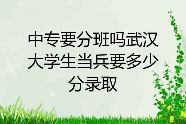 中专要分班吗武汉大学生当兵要多少分录取