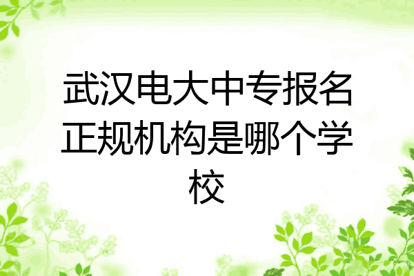 武汉电大中专报名正规机构是哪个学校