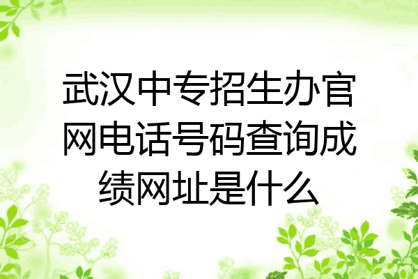 武汉中专招生办官网电话号码查询成绩网址是什么