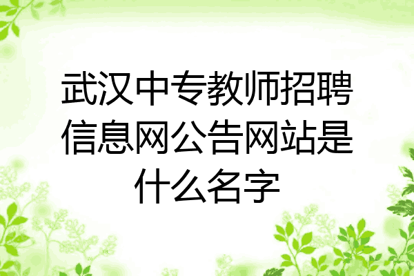 武汉中专教师招聘信息网公告网站是什么名字