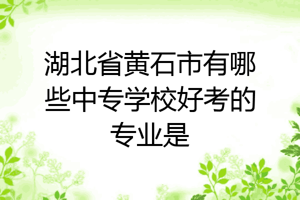 湖北省黄石市有哪些中专学校好考的专业是