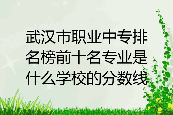 武汉市职业中专排名榜前十名专业是什么学校的分数线