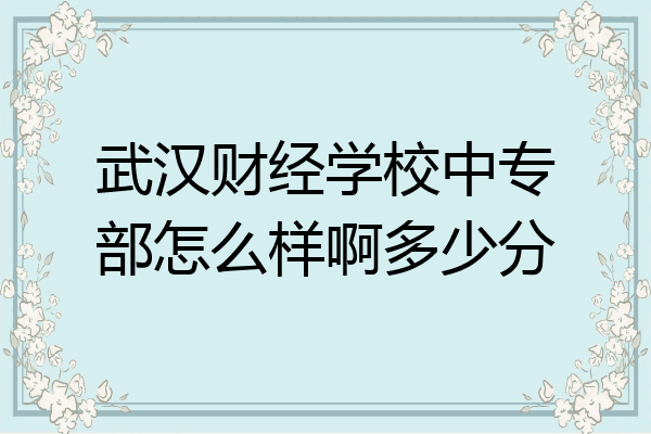 武汉财经学校中专部怎么样啊多少分