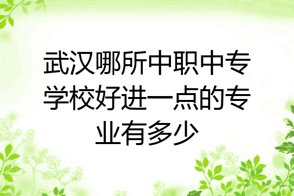 武汉哪所中职中专学校好进一点的专业有多少
