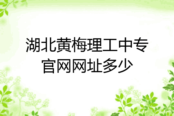 湖北黄梅理工中专官网网址多少