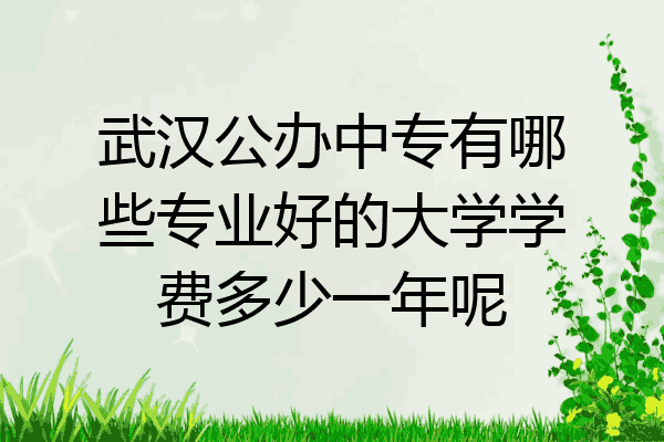 武汉公办中专有哪些专业好的大学学费多少一年呢