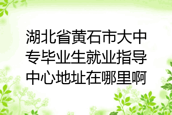 湖北省黄石市大中专毕业生就业指导中心地址在哪里啊