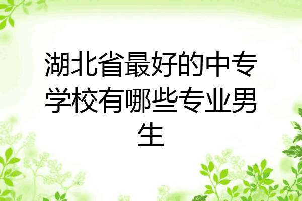 湖北省最好的中专学校有哪些专业男生
