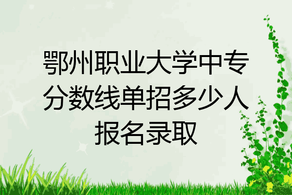 鄂州职业大学中专分数线单招多少人报名录取