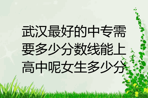 武汉最好的中专需要多少分数线能上高中呢女生多少分