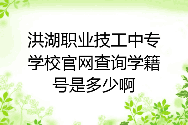 洪湖职业技工中专学校官网查询学籍号是多少啊
