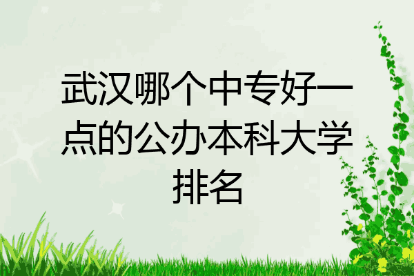 武汉哪个中专好一点的公办本科大学排名