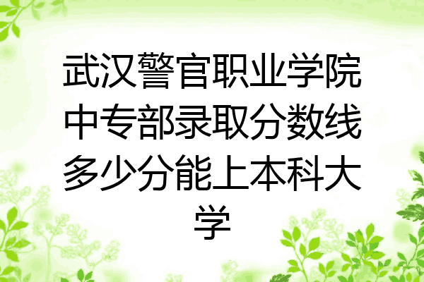 武汉警官职业学院中专部录取分数线多少分能上本科大学
