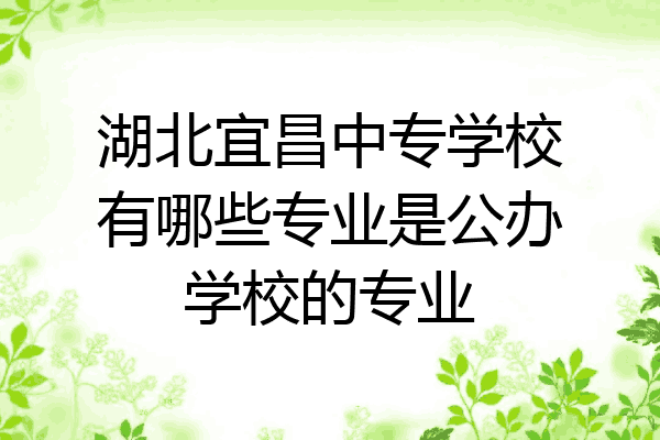 湖北宜昌中专学校有哪些专业是公办学校的专业