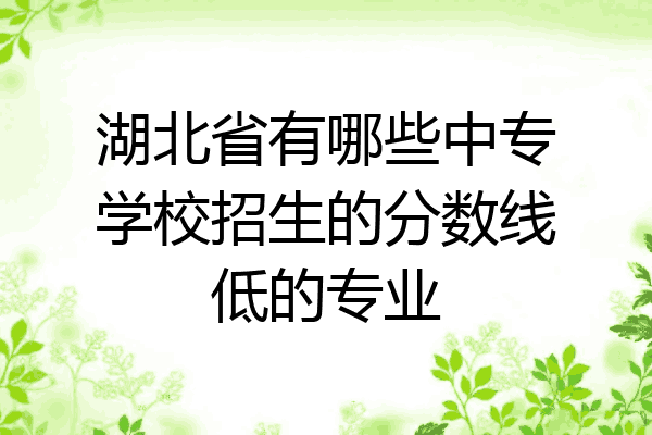 湖北省有哪些中专学校招生的分数线低的专业