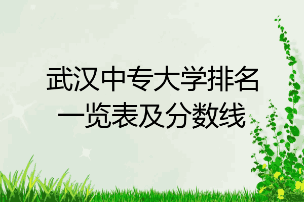 武汉中专大学排名一览表及分数线
