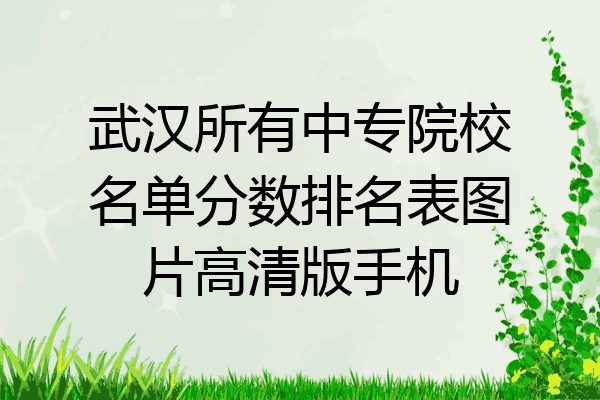 武汉所有中专院校名单分数排名表图片高清版手机