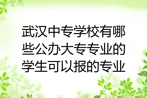 武汉中专学校有哪些公办大专专业的学生可以报的专业