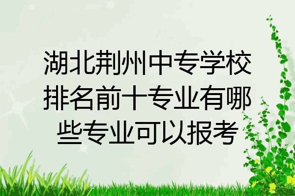 湖北荆州中专学校排名前十专业有哪些专业可以报考