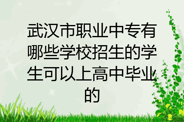 武汉市职业中专有哪些学校招生的学生可以上高中毕业的