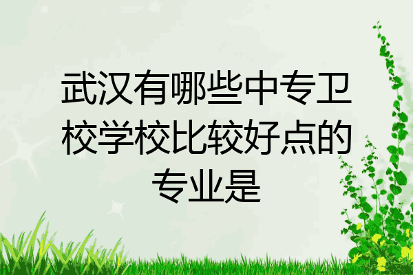 武汉有哪些中专卫校学校比较好点的专业是