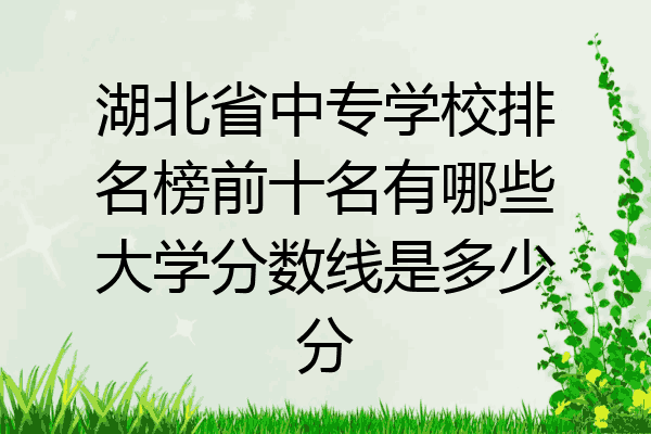 湖北省中专学校排名榜前十名有哪些大学分数线是多少分