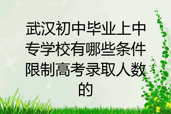 武汉初中毕业上中专学校有哪些条件限制高考录取人数的