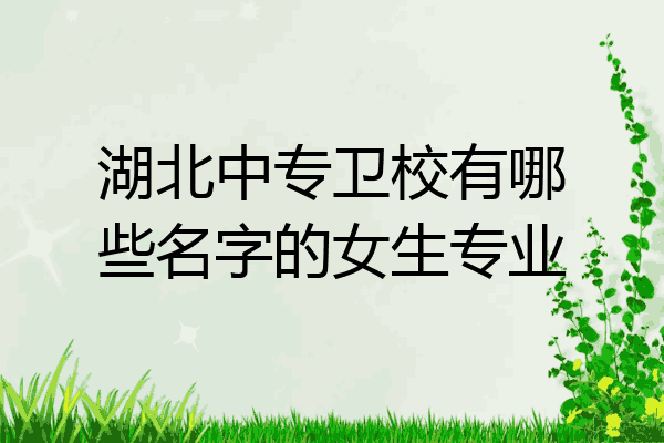 湖北中专卫校有哪些名字的女生专业