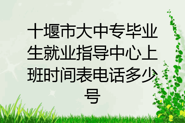 十堰市大中专毕业生就业指导中心上班时间表电话多少号