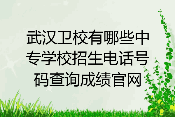 武汉卫校有哪些中专学校招生电话号码查询成绩官网