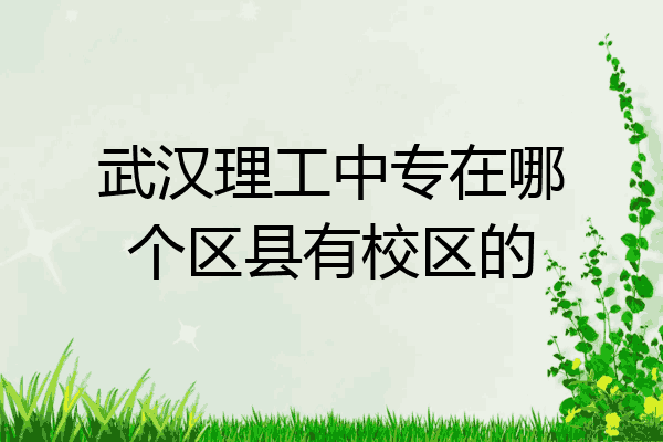 武汉理工中专在哪个区县有校区的