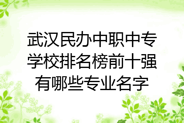 武汉民办中职中专学校排名榜前十强有哪些专业名字