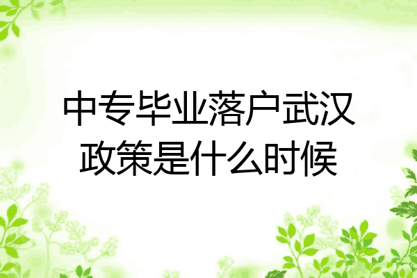 中专毕业落户武汉政策是什么时候